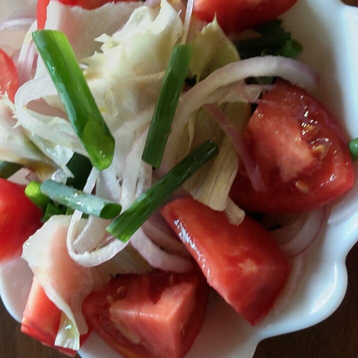 紫玉ねぎとトマトのサラダ